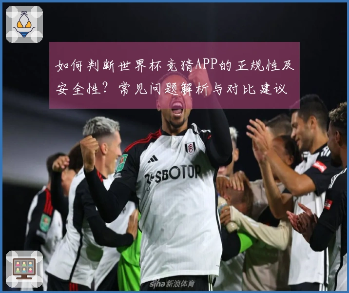 如何判断世界杯竞猜APP的正规性及安全性?常见问题解析与对比建议