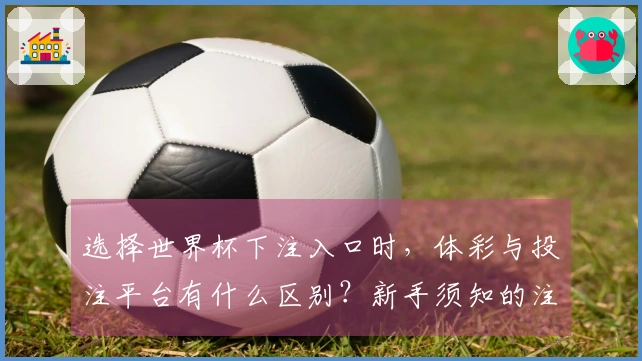 选择世界杯下注入口时，体彩与投注平台有什么区别？新手须知的注意事项