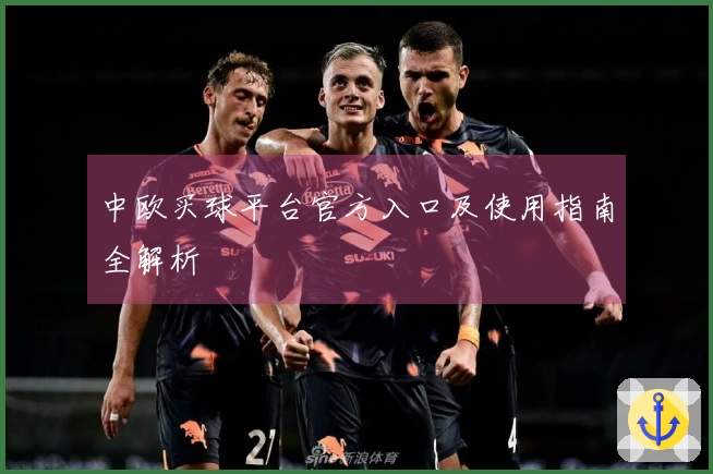 中欧买球平台官方入口及使用指南全解析
