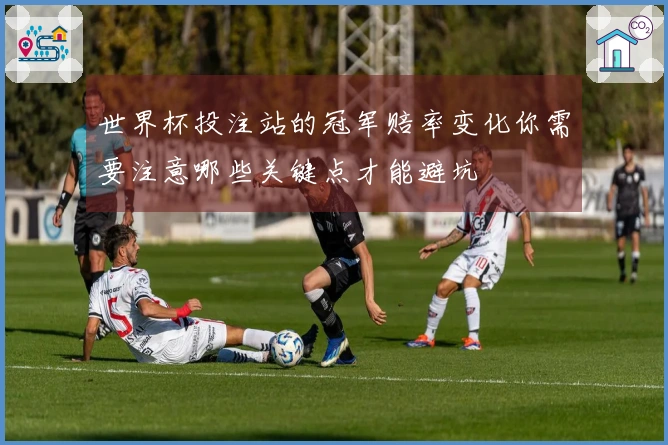 世界杯投注站的冠军赔率变化你需要注意哪些关键点才能避坑