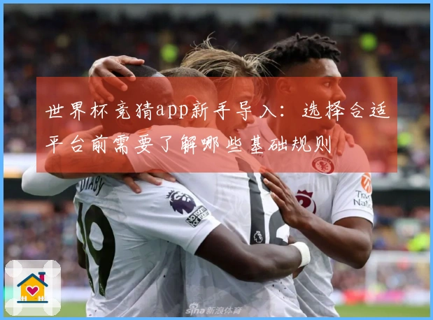 世界杯竞猜app新手导入:选择合适平台前需要了解哪些基础规则