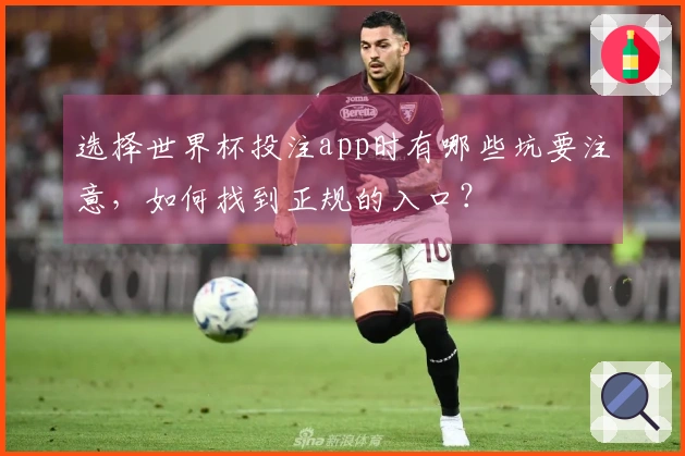 选择世界杯投注app时有哪些坑要注意,如何找到正规的入口?