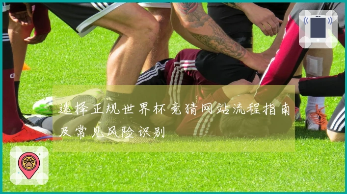 选择正规世界杯竞猜网站流程指南及常见风险识别