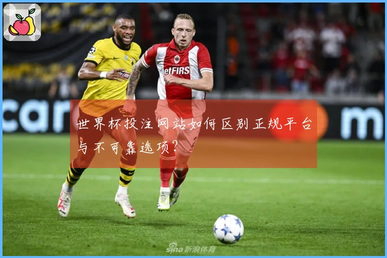 世界杯投注网站如何区别正规平台与不可靠选项?