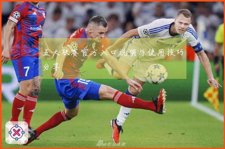 五大联赛官方入口说明与使用技巧分享