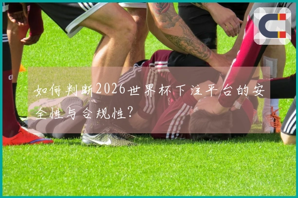 如何判断2026世界杯下注平台的安全性与合规性？