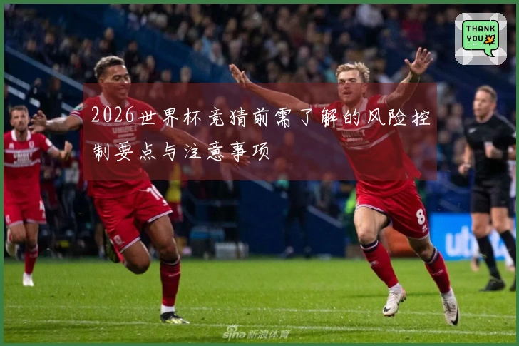 2026世界杯竞猜前需了解的风险控制要点与注意事项
