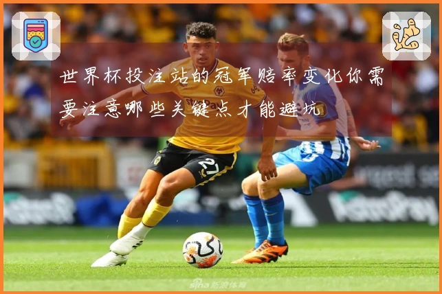世界杯投注站的冠军赔率变化你需要注意哪些关键点才能避坑
