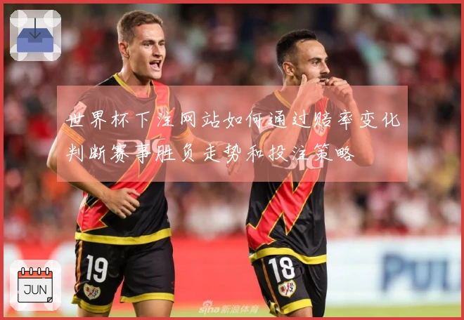 世界杯下注网站如何通过赔率变化判断赛事胜负走势和投注策略