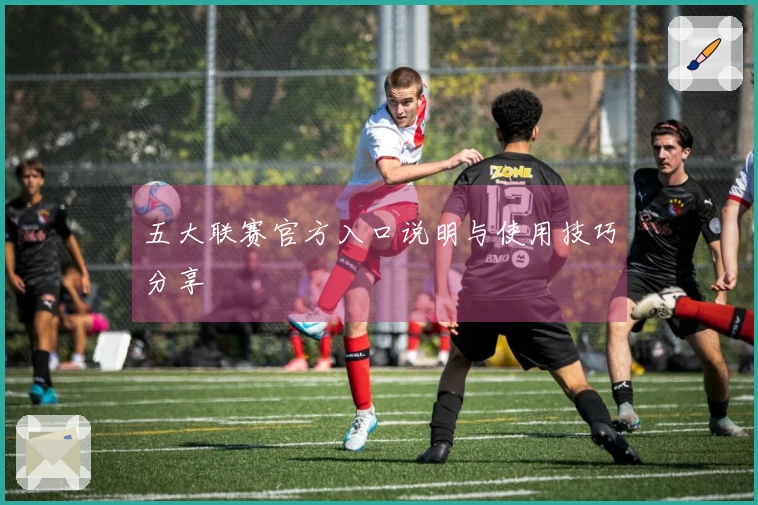 五大联赛官方入口说明与使用技巧分享