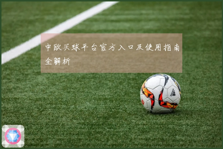 中欧买球平台官方入口及使用指南全解析