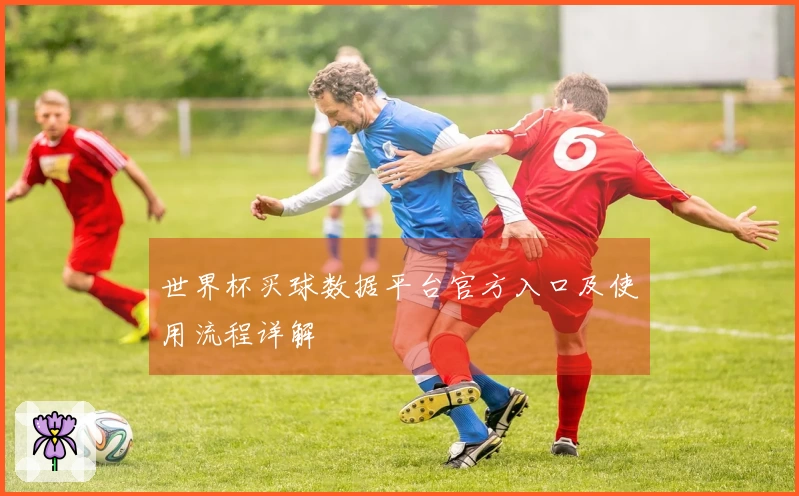 世界杯买球数据平台官方入口及使用流程详解