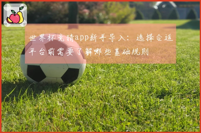 世界杯竞猜app新手导入：选择合适平台前需要了解哪些基础规则