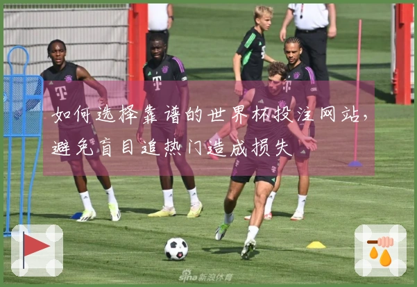 如何选择靠谱的世界杯投注网站，避免盲目追热门造成损失