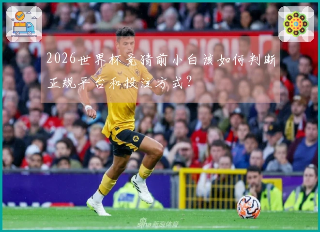 2026世界杯竞猜前小白该如何判断正规平台和投注方式?